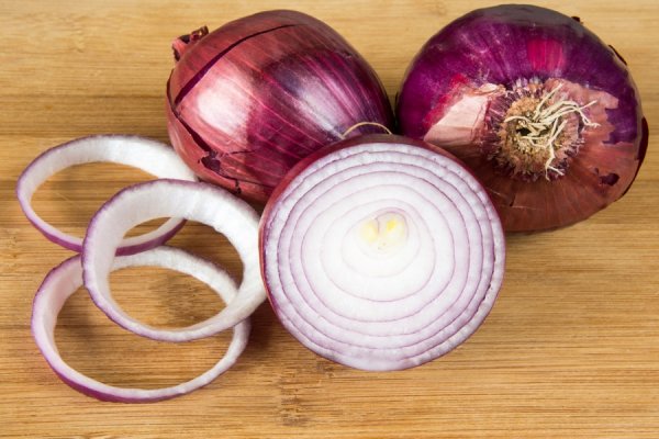 Личный кабинет блэк спрут