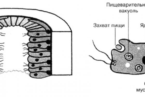 Рабочее зеркало блэк спрут