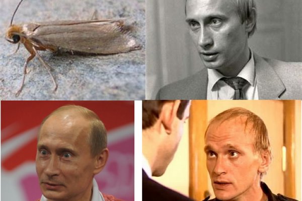 Как пишется сайт блэкспрут в торе