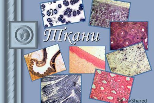 Сайт блэкспрут анион