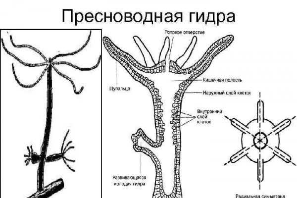 Загрузить фото на блэкспрут с телефона андроид